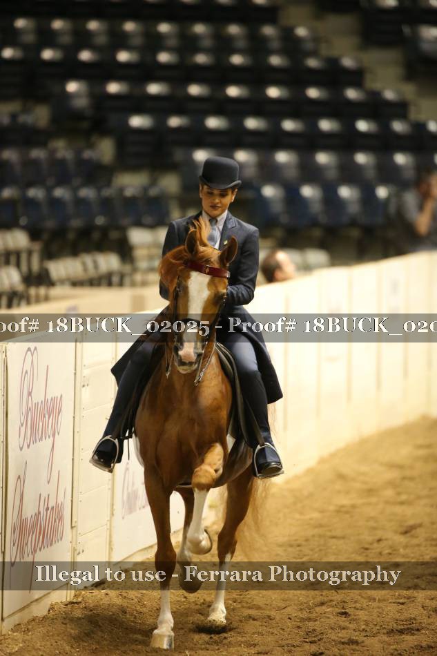 Proof 18BUCK_02025