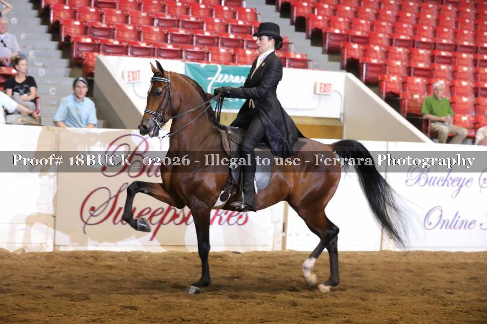 Proof 18BUCK_02026