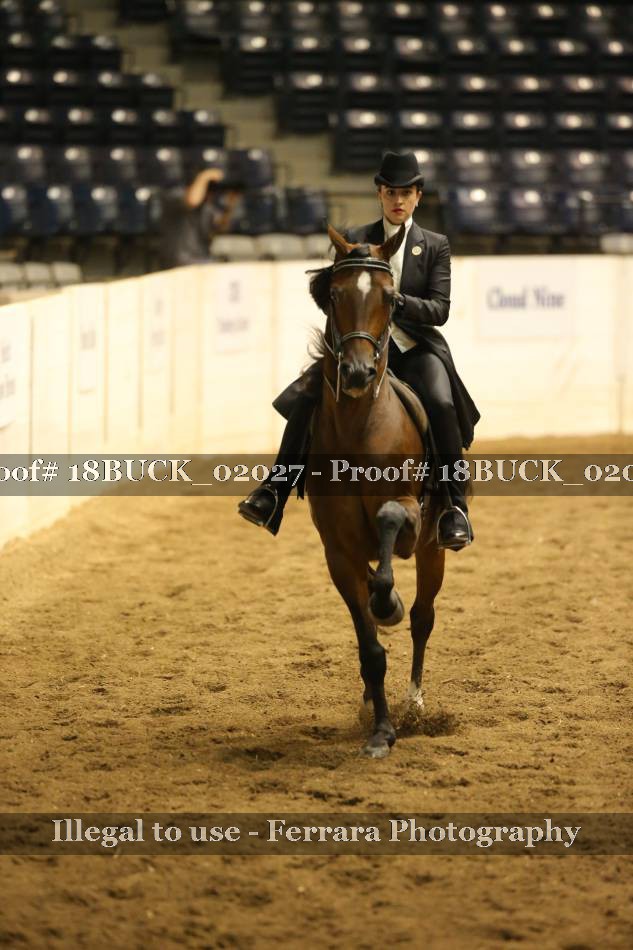 Proof 18BUCK_02027