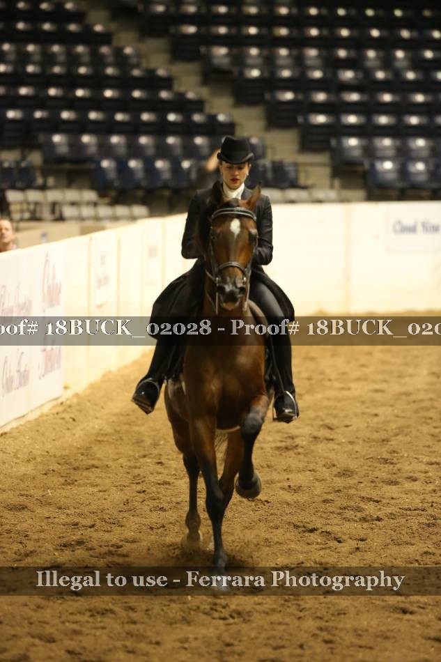 Proof 18BUCK_02028