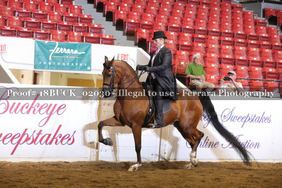 Proof 18BUCK_02030