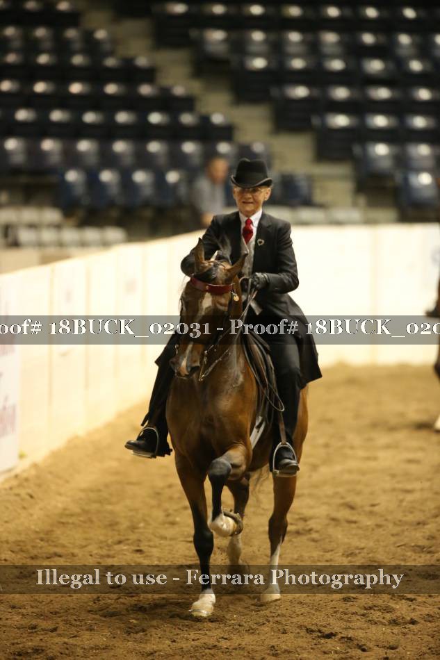 Proof 18BUCK_02031