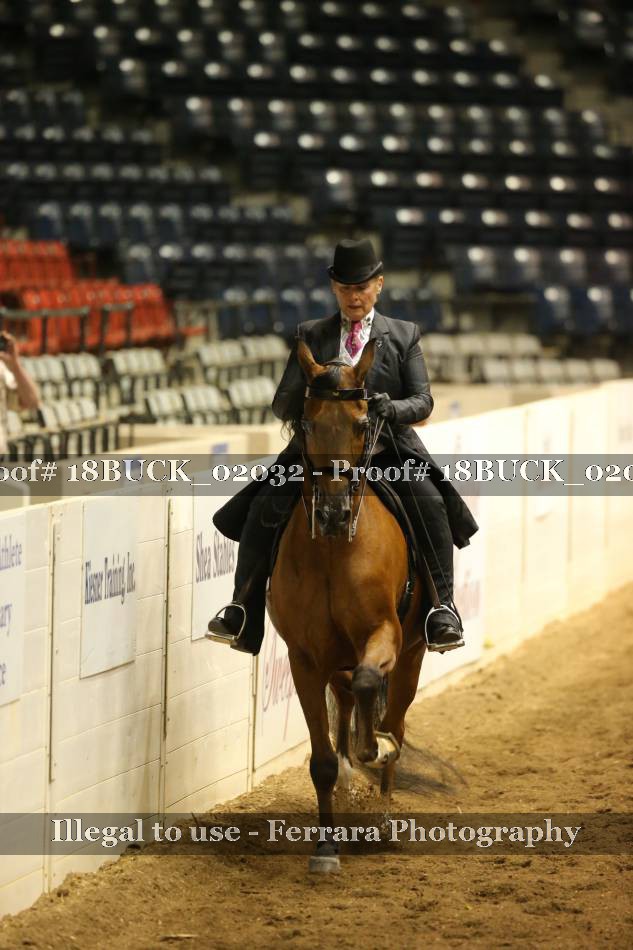 Proof 18BUCK_02032