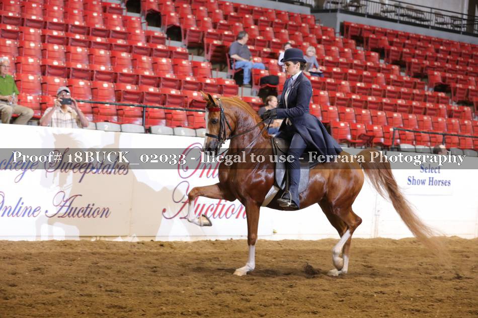 Proof 18BUCK_02033