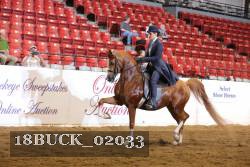 18BUCK_02033 proof