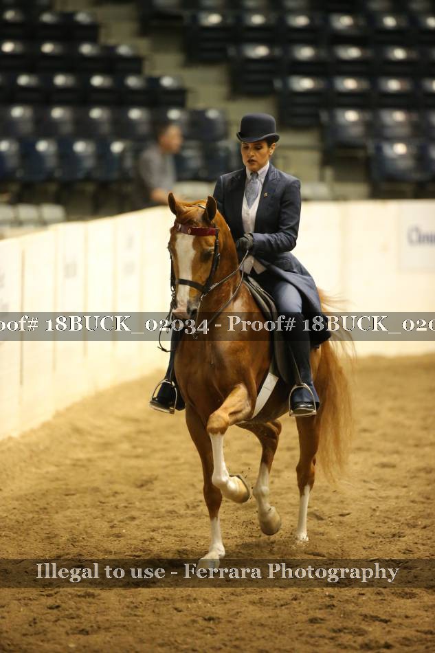 Proof 18BUCK_02034