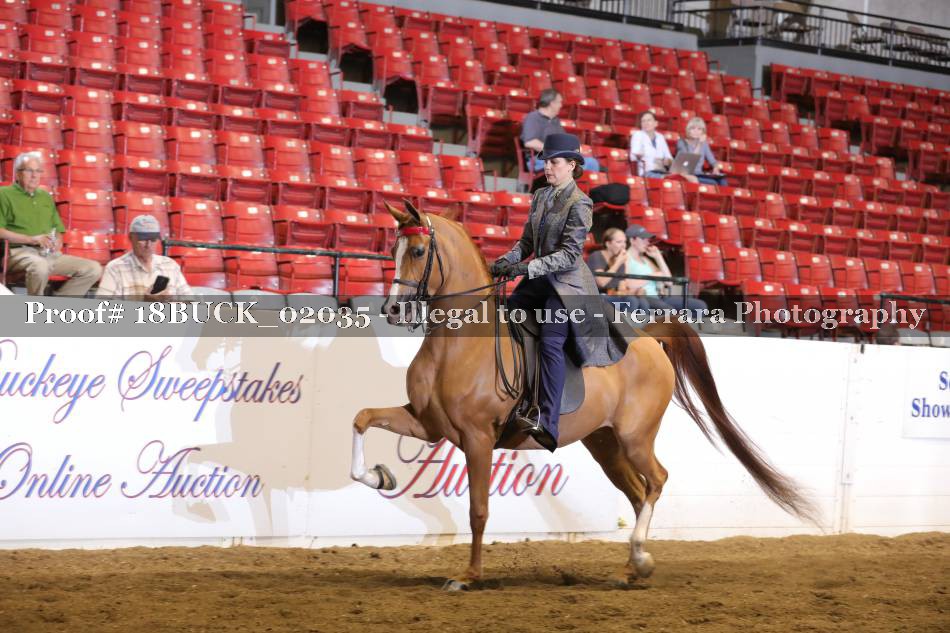 Proof 18BUCK_02035