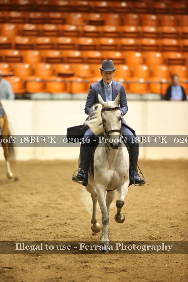 Proof 18BUCK_02036