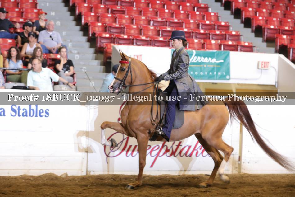 Proof 18BUCK_02037