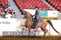 18BUCK_02037 proof