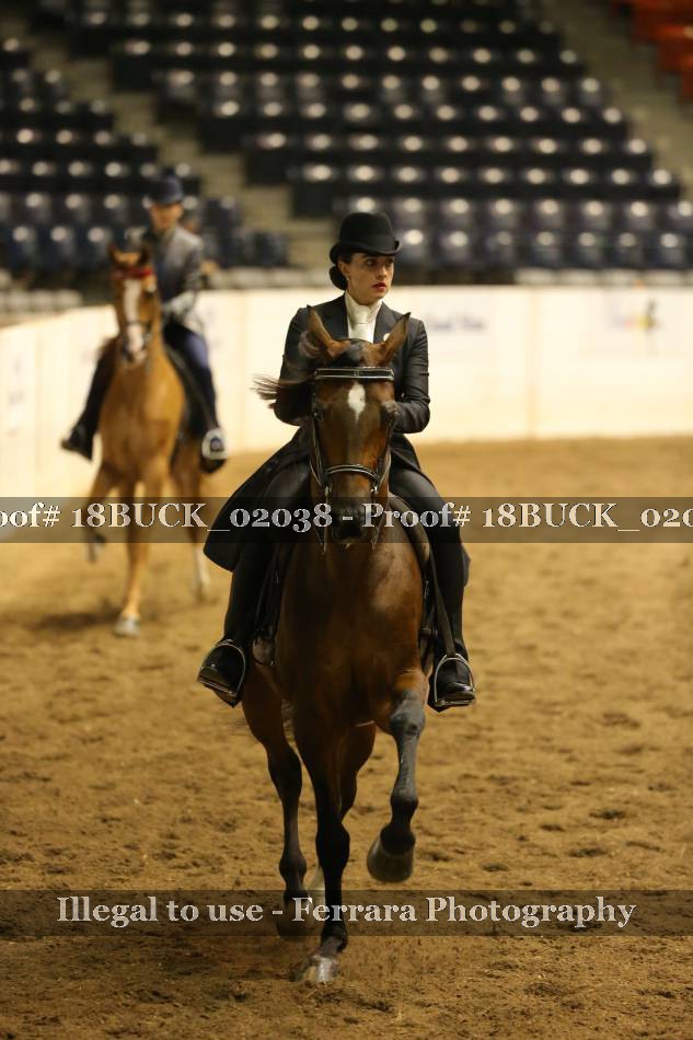 Proof 18BUCK_02038