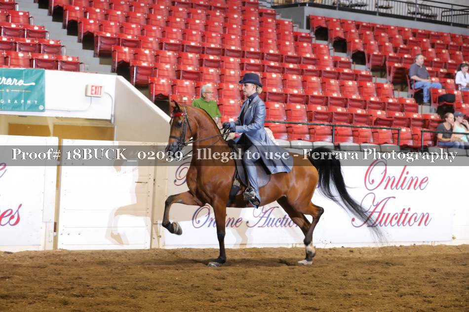 Proof 18BUCK_02039