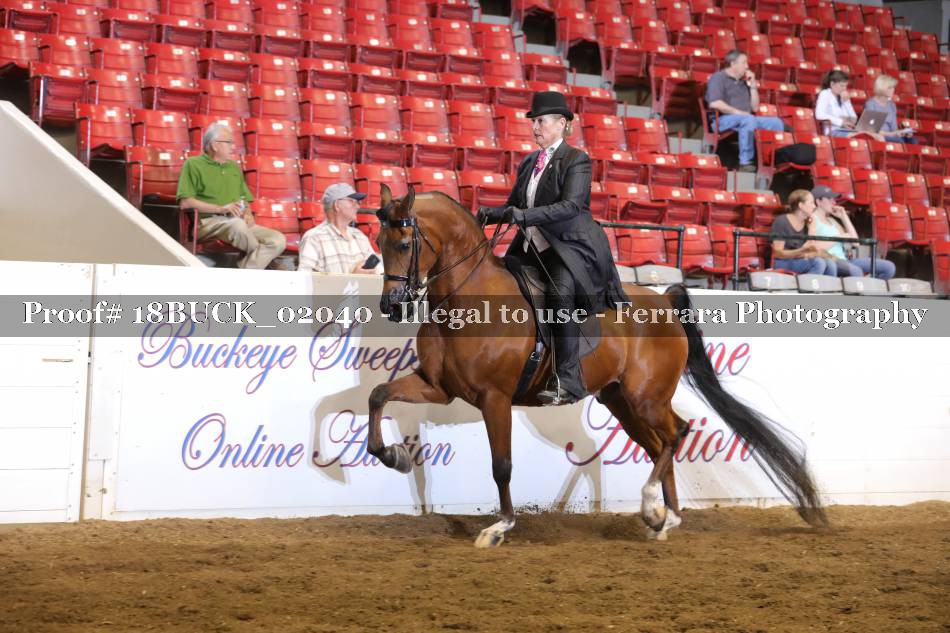 Proof 18BUCK_02040