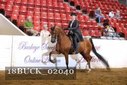 18BUCK_02040 proof