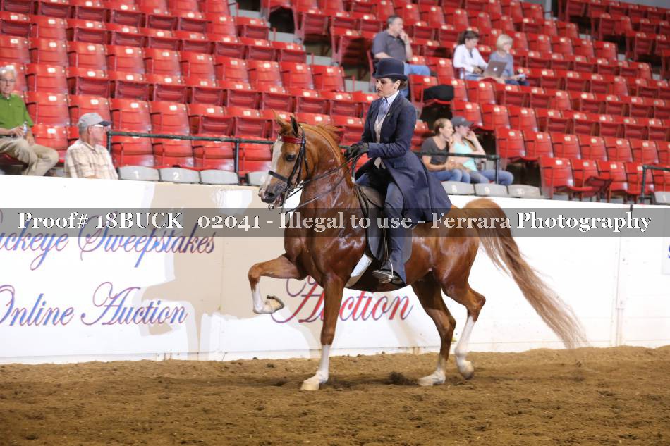 Proof 18BUCK_02041