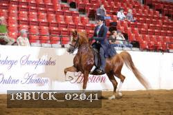 18BUCK_02041 proof