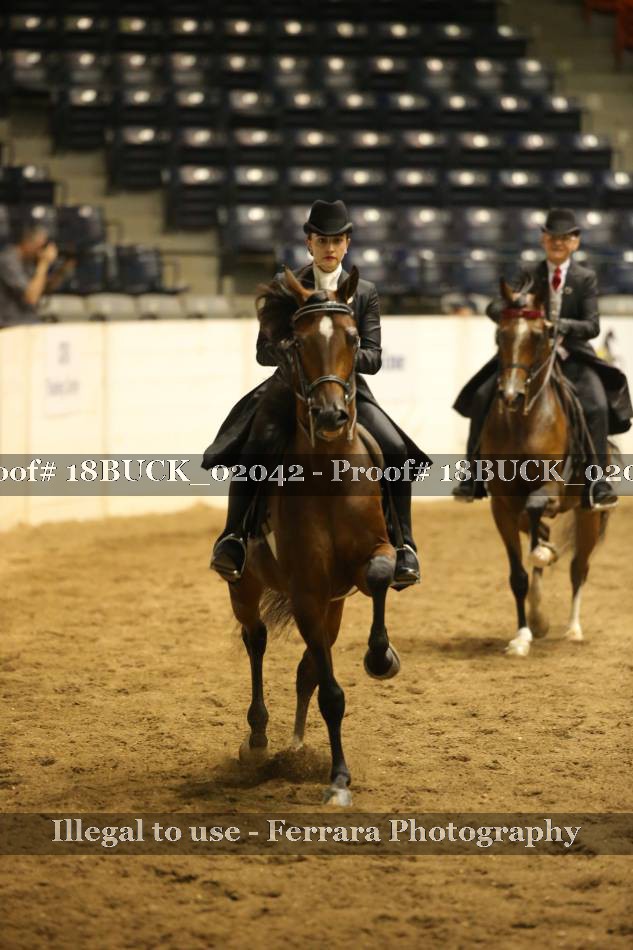 Proof 18BUCK_02042
