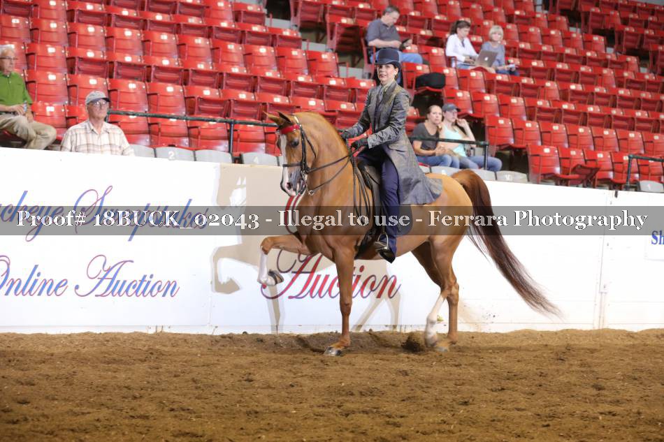 Proof 18BUCK_02043