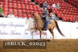 18BUCK_02043 proof