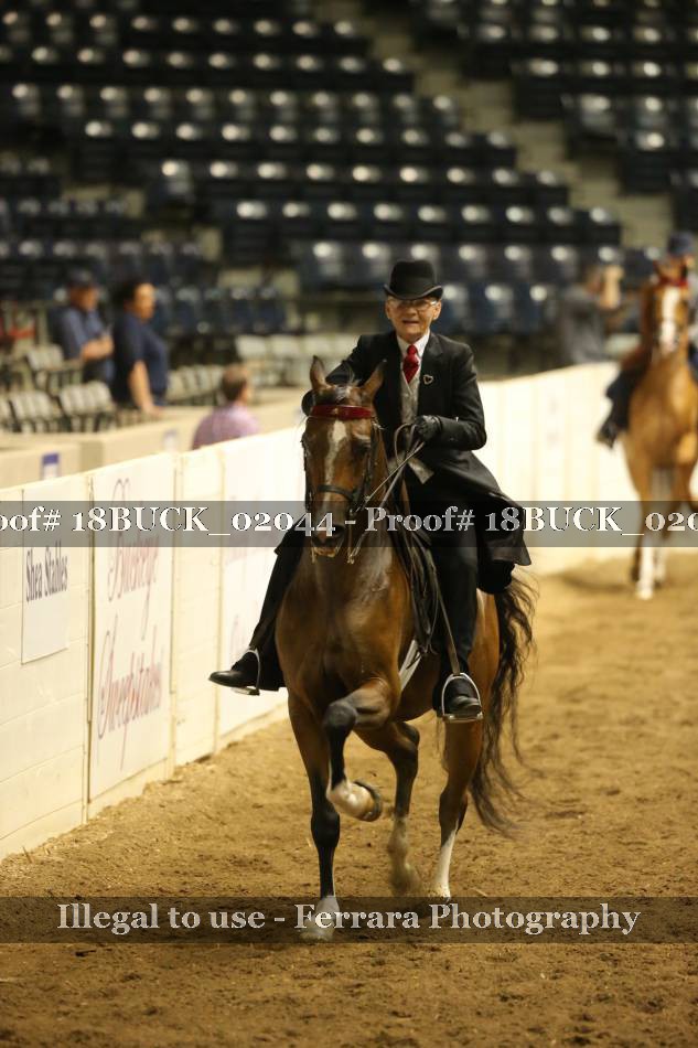 Proof 18BUCK_02044