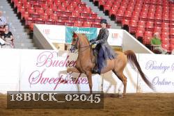 18BUCK_02045 proof