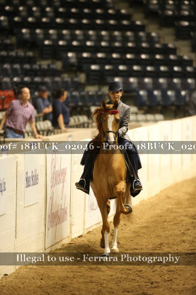 Proof 18BUCK_02046