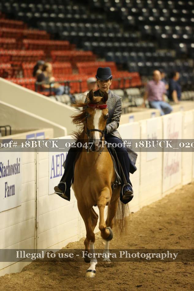 Proof 18BUCK_02047