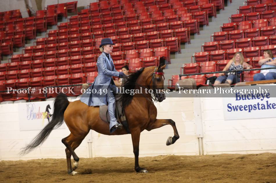 Proof 18BUCK_02049