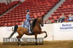 18BUCK_02049 proof