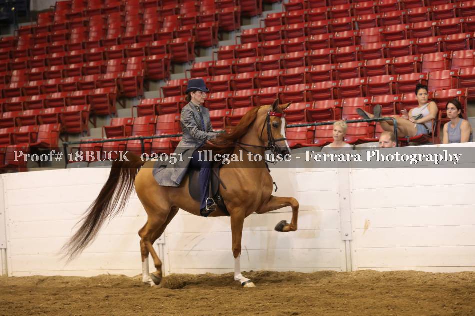 Proof 18BUCK_02051