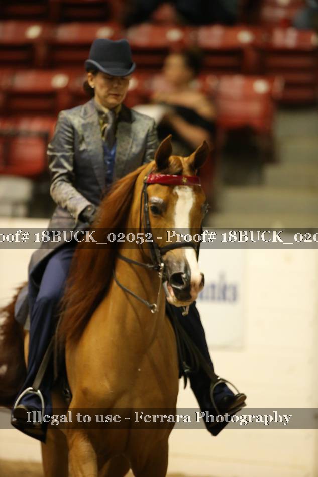 Proof 18BUCK_02052