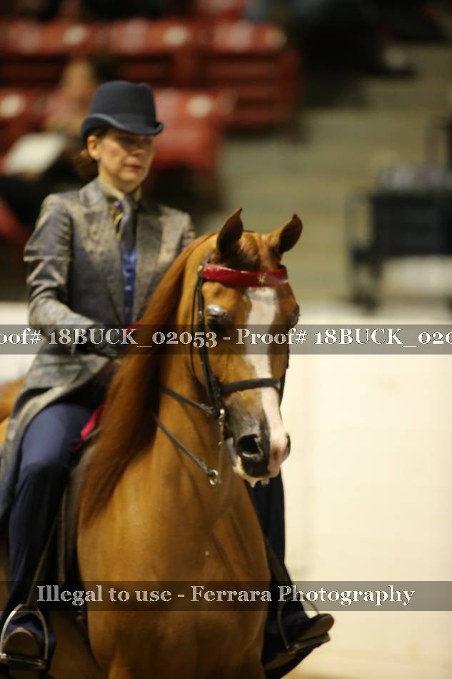 Proof 18BUCK_02053