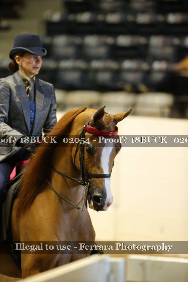 Proof 18BUCK_02054