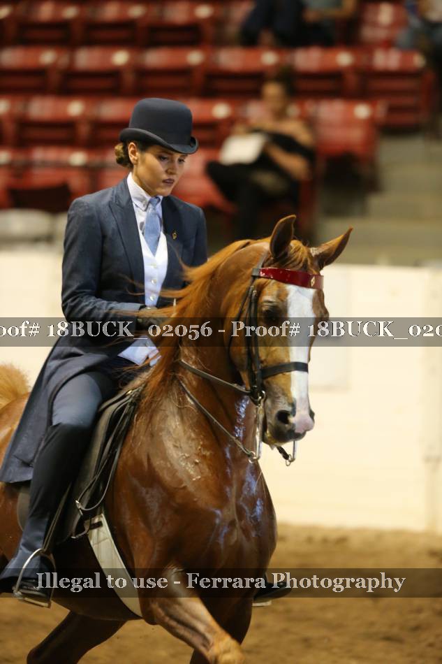 Proof 18BUCK_02056