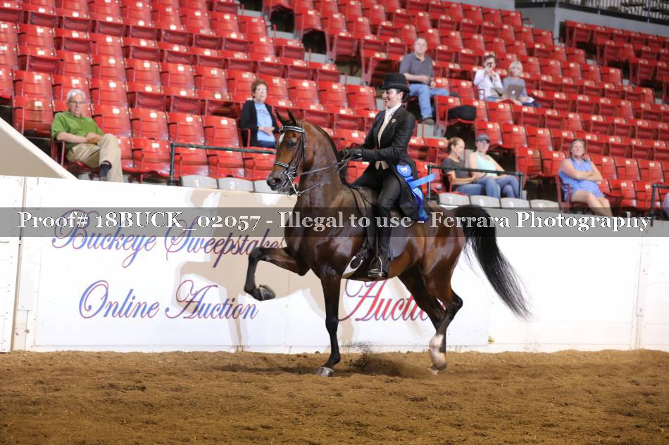 Proof 18BUCK_02057