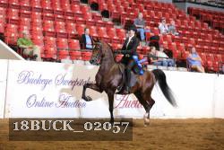 18BUCK_02057 proof