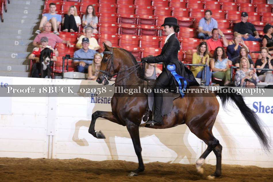 Proof 18BUCK_02058