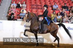 18BUCK_02058 proof