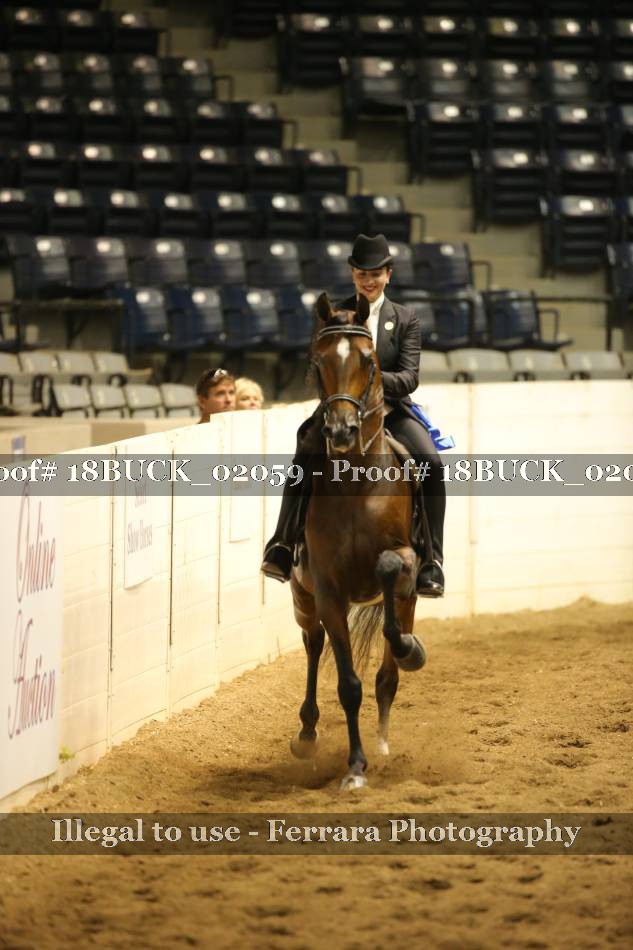 Proof 18BUCK_02059