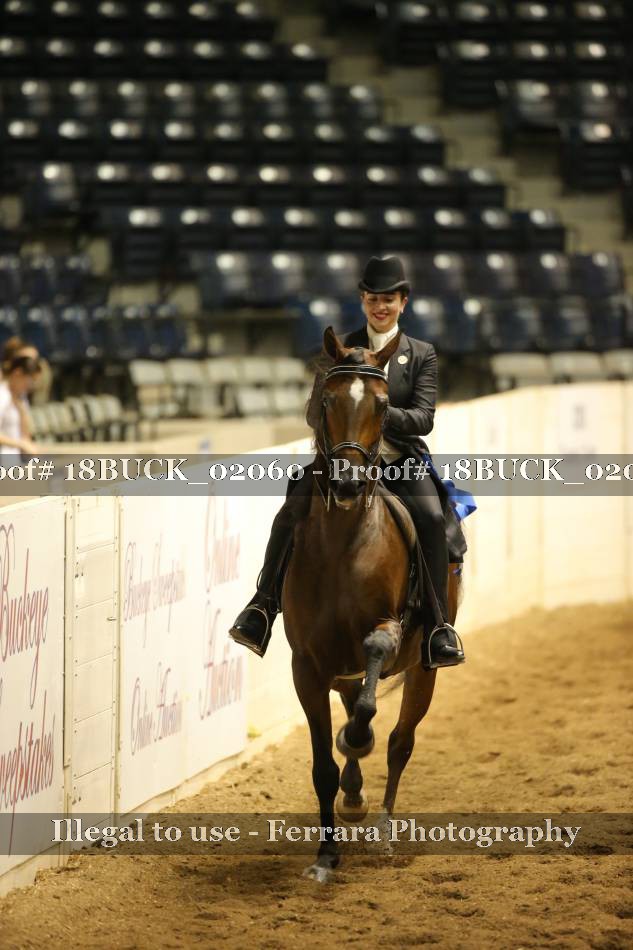 Proof 18BUCK_02060
