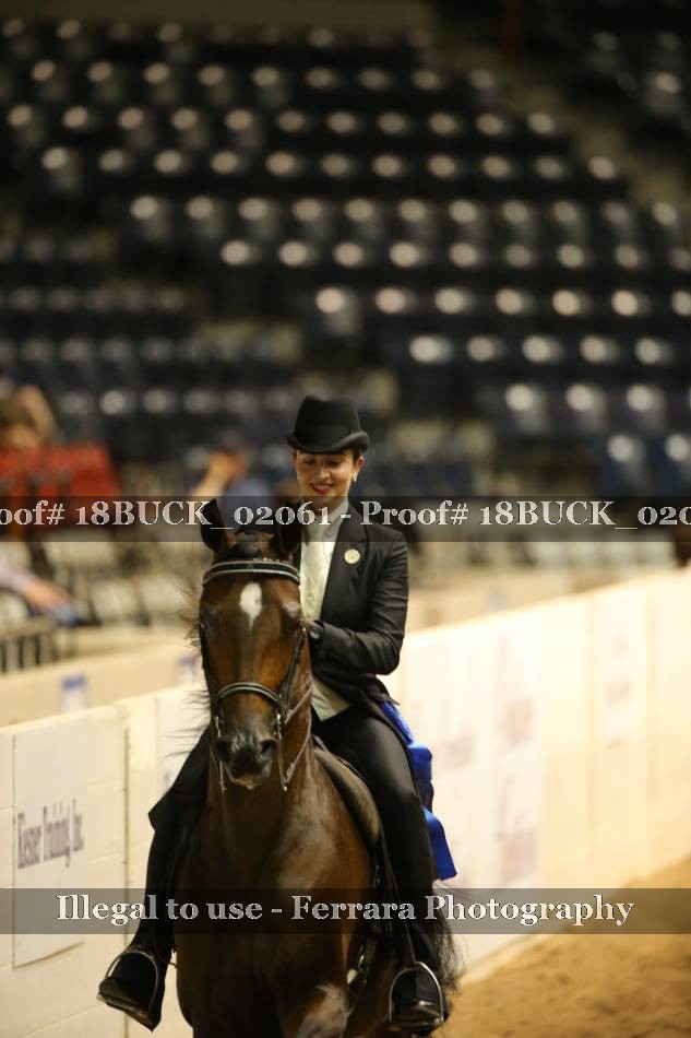 Proof 18BUCK_02061