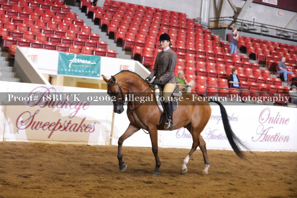 Proof 18BUCK_02062
