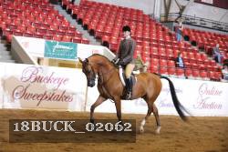 18BUCK_02062 proof