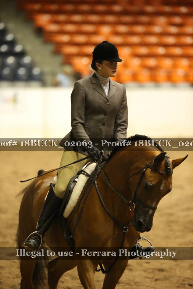 Proof 18BUCK_02063