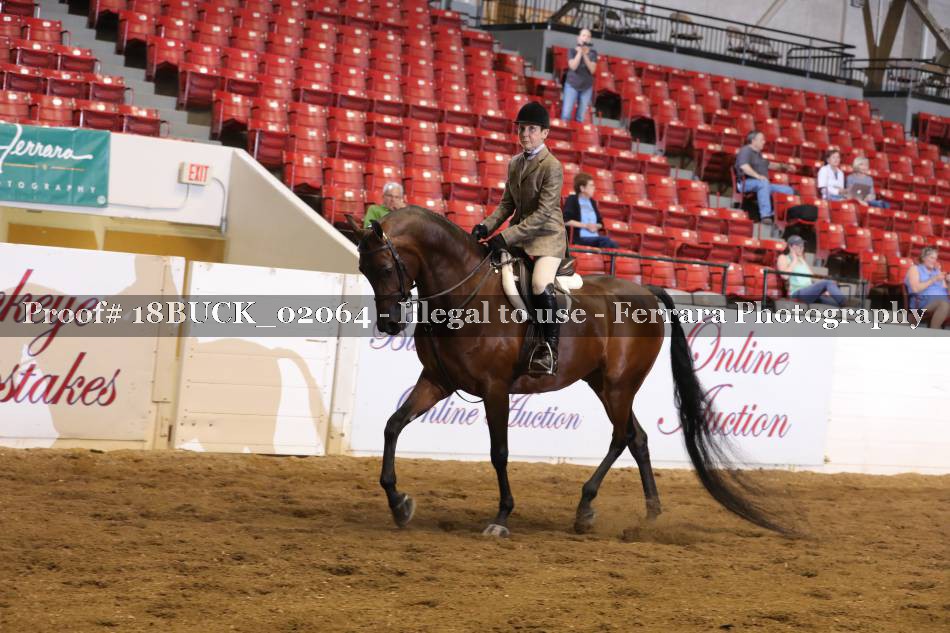 Proof 18BUCK_02064