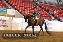 18BUCK_02064 proof
