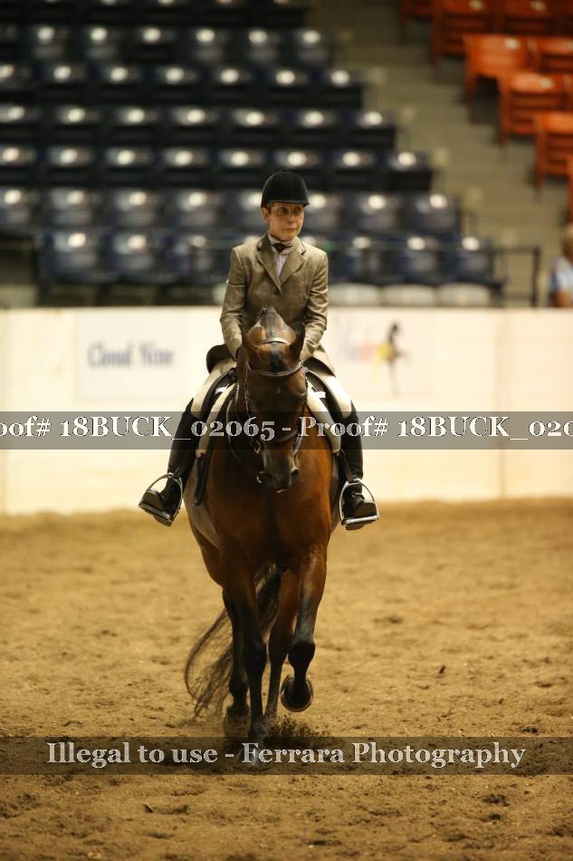 Proof 18BUCK_02065