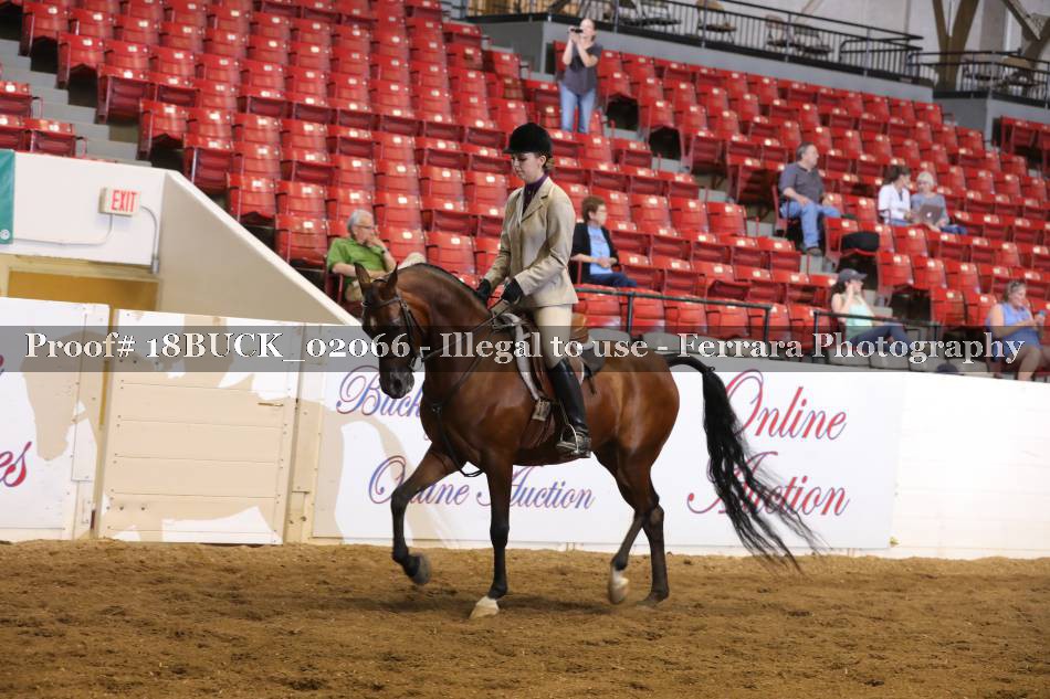 Proof 18BUCK_02066