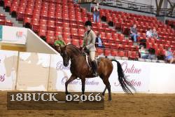 18BUCK_02066 proof