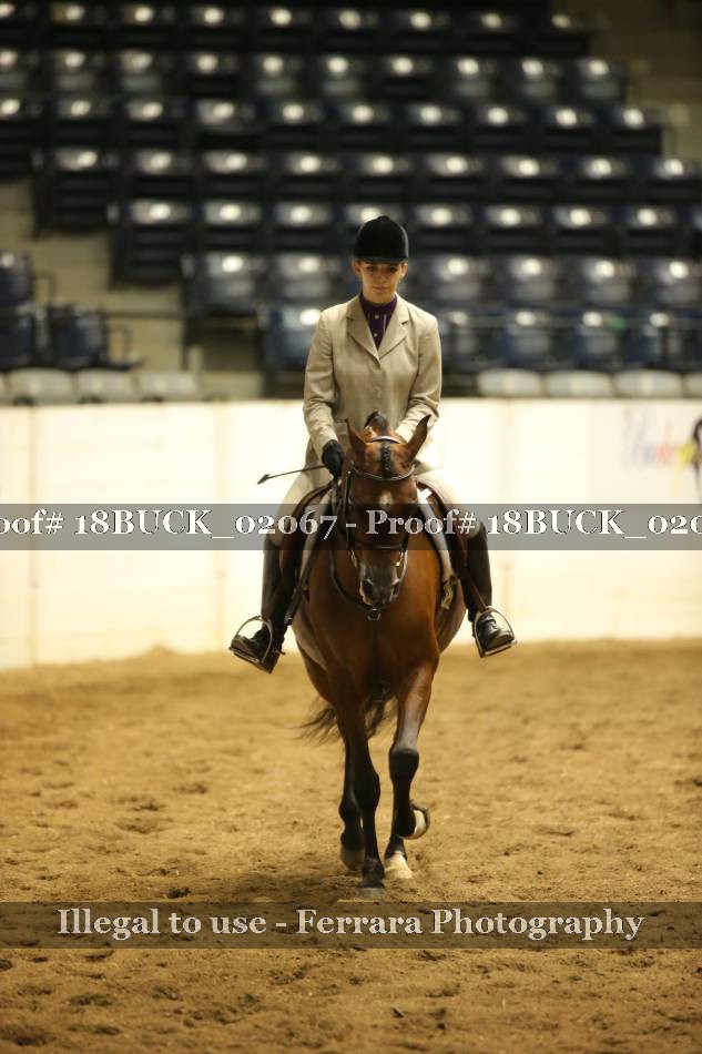 Proof 18BUCK_02067